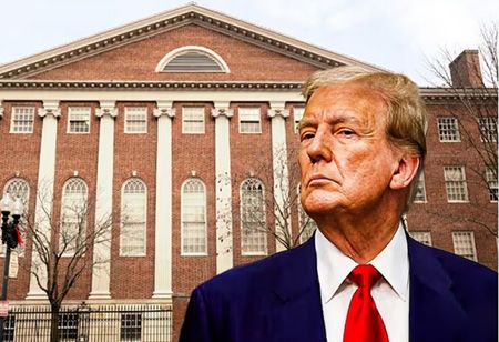 When Harvard Shuts Its Doors, What's Next for International Students?